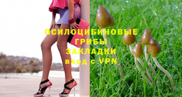 МДМА Бородино