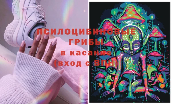 МДМА Бородино